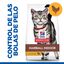 7 kg Hill's Adult Hairball Indoor Pollo pienso para gatos, , large indicador imagen numero 2